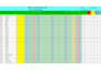 do excel data entry and spreadsheet formatting